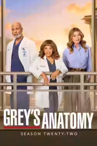 Grey’s Anatomy Season 22 Arabic Subtitle (2005)