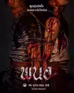 Panor Bangla Subtitle (2025)