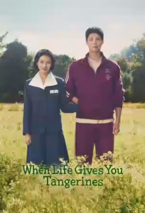 When Life Gives You Tangerines (Pokssak Sokatsooda / 폭싹 속았수다) Season 1 Bangla Subtitle (2025)